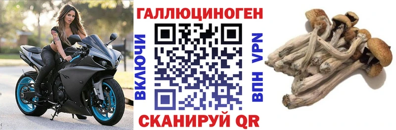 Псилоцибиновые грибы Psilocybe  Купить  Полтавская 